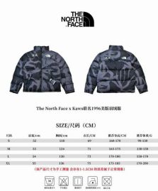 Picture of The North Face Down Jackets _SKUTheNorthFaceS-Ltw239563
